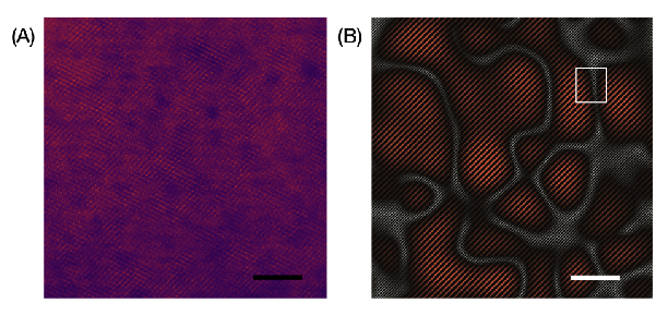 Two microscopic views of the manganese material presented side by side. Image A (left) features a dark red and purple image. Image B (right) shows black lines on a red background, including a highlighted area within a white rectangle. Each image contains a scale bar for reference.