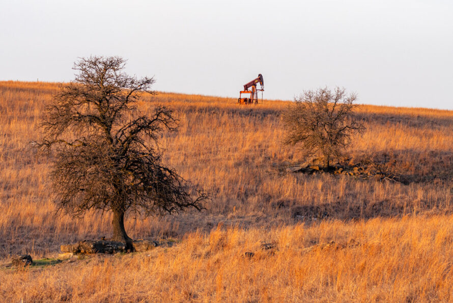 An oil pump jack situated in a grassy field with a few bare trees.