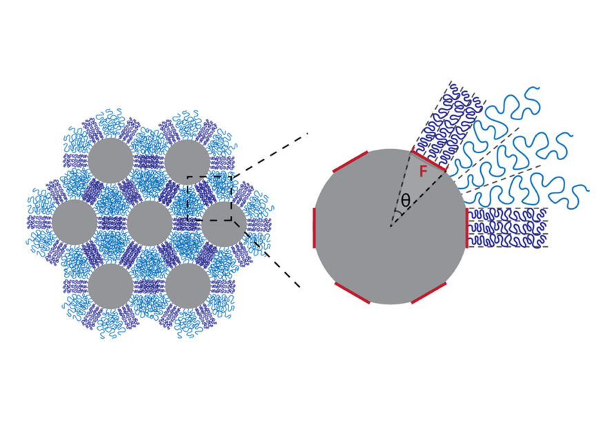 Silica nanoparticles affixed with a distribution of polystyrene chains (purple) self-assemble into hexagonal lattices. Depending on how the chains are organized on the particle surface, they tangle together (purple) or unravel (blue) when compressed.