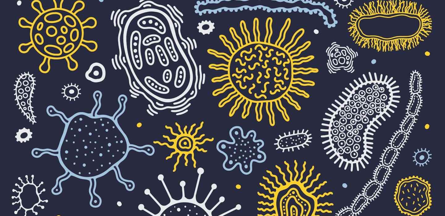 Illustrated rendering of various microorganisms representing the diversity of microbes found in the mammalian gut.