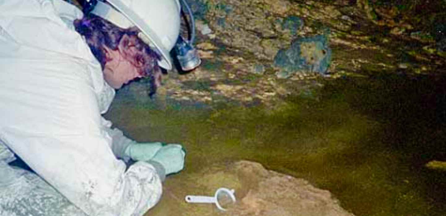 Researcher from Jillian Banfield's team collecting microbial samples in a California mine shaft to study survival in acidic, metal-rich environments.