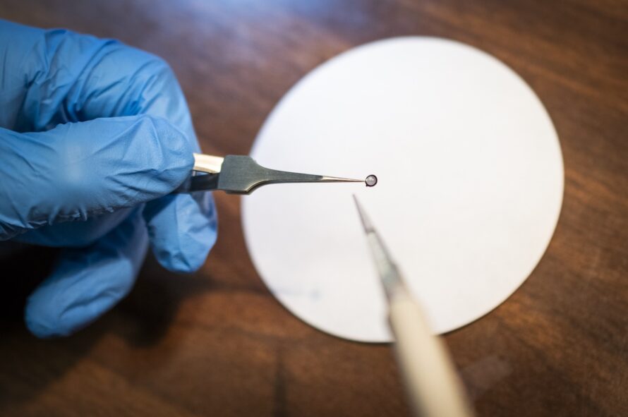 A gloved hand holds a tiny round device with pinchers.