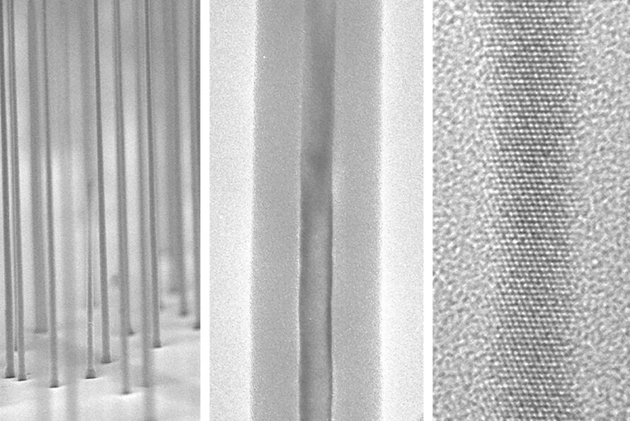 Electron microscope images