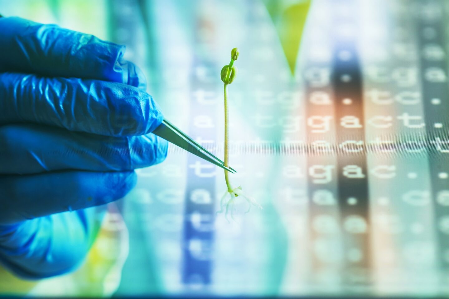 A gloved hand holds a tiny plant sprout in a glass vial; the background is a wall of letters representing genetic code