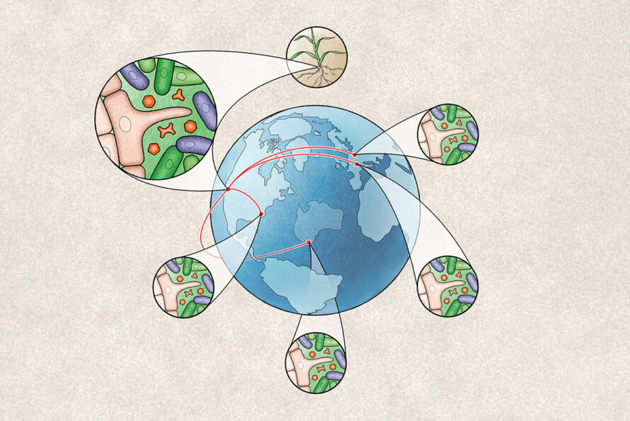 Illustration of the earth with nodes jutting from specific locations that depict the rhizosphere microbiome.