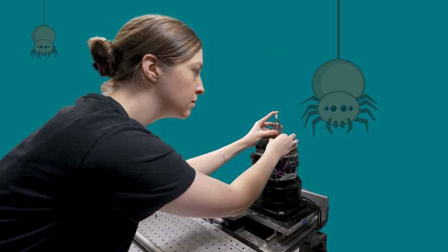 A collage image of a research adjusting an experiment. The research and experiment are superimposed over a teal background with a cartoon spider.