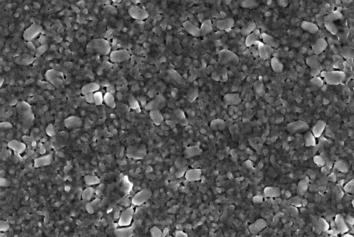 Close-up black and white image of a crystalline thin film.