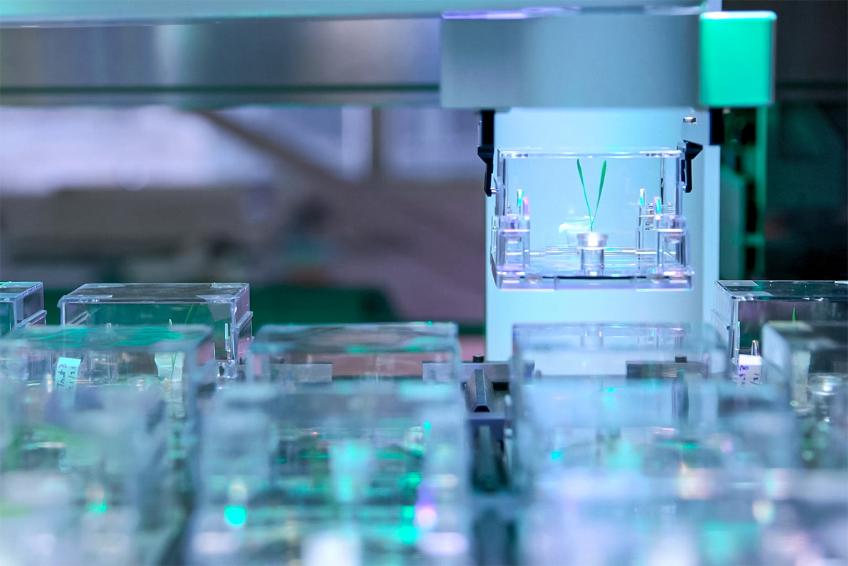 A close-up view inside the EcoBOT system, illuminated by cool blue and green light. In the foreground and lower background, multiple rows of clear, square plastic EcoFAB growth chambers sit on a track. In the upper right, a white robotic arm with black mechanical grippers holds and lifts one of the clear chambers, which contains a small, vibrant green plant shoot.