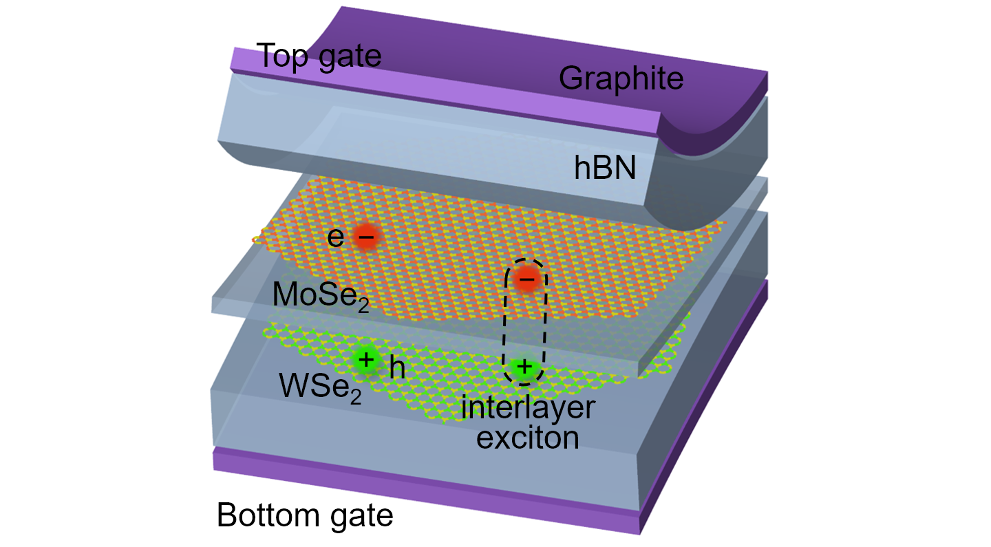 Colorful illustration of an atomically thin electronic device.