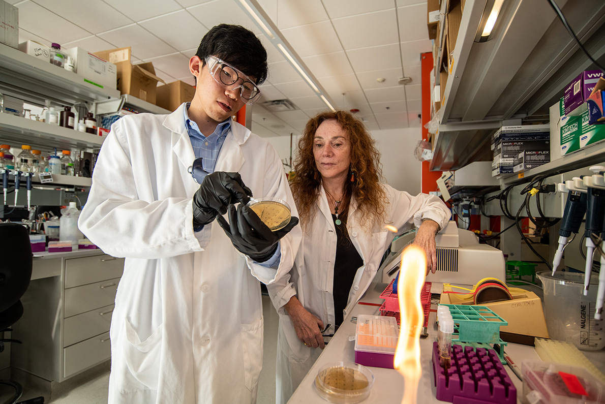 A man in lab coat, gloves, and protective eyewear examines a petri dish beside a woman in a lab coat inside a lab room. A bunsen burner flame can be seen in the foreground.