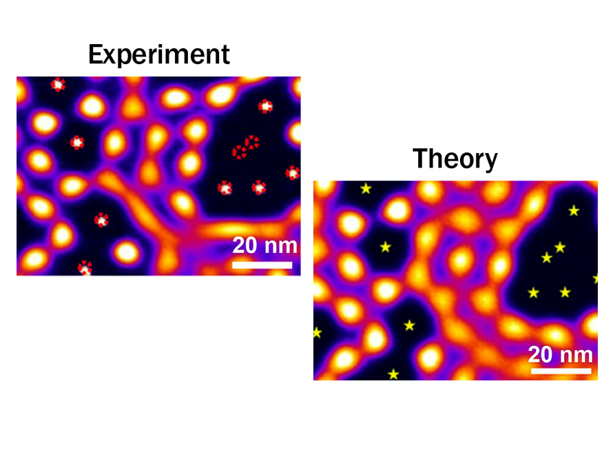 Two side-by-side microscopic thermal-style maps showing bright yellow, orange, and purple glowing nodes connected by network-like filaments against a black background. Each image includes a white scale bar labeled "20 nm" in the bottom right. The left image contains tiny red flower-like markers scattered throughout, while the right image contains small yellow star icons in similar positions.