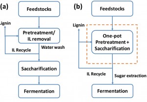 Conventional separate pretreatment and saccharification of biofuel feedstock (a) entails water and waste disposal that one-pot system (b) eliminates. (Image courtesy of Joint BioEnergy Institute) 
