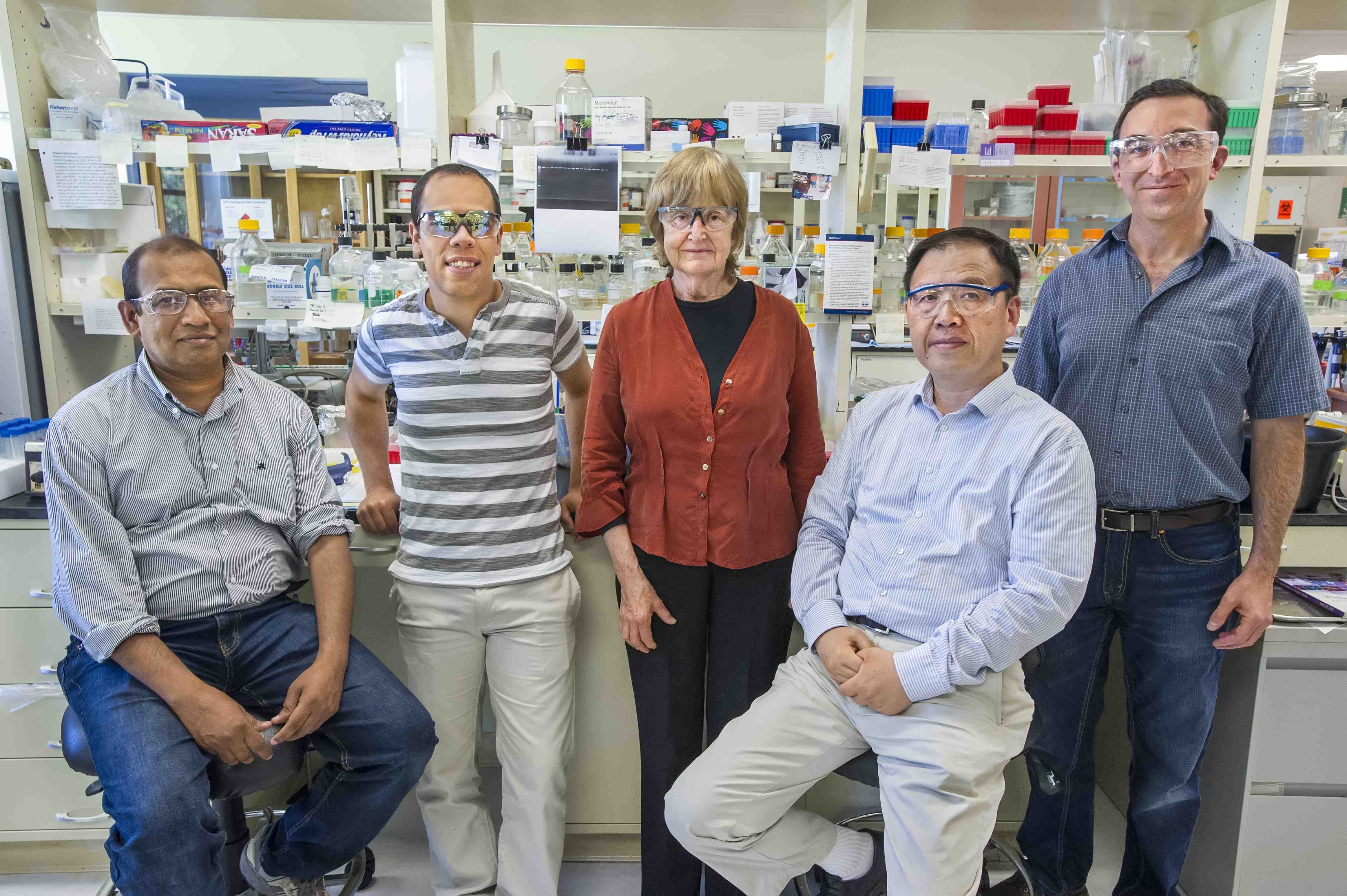 Berkeley Lab scientists (from left) Altaf Sarker, Mohamad Sleiman, Lara Gundel, Bo Hang and Hugo Destaillats worked on the thirdhand smoke study.