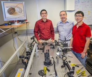(From left) Craig Hetherington, Carlos Bustamante and Shixin Liu have shed new light on a type of molecular motor used to package the DNA of a number of viruses, including herpes and the adenoviruses. (Photo by Roy Kaltschmidt)