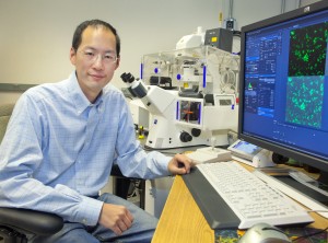 Christopher Chang is a chemist who holds joint appointments with Berkeley Lab and UC Berkeley and is also an investigator with the Howard Hughes Medical Institute. (Photo by Roy Kaltschmidt)