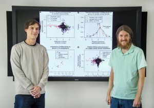 Morgan Price (left) and Adam Deutschbauer were part of a study that challenges the idea in response to environmental changes, bacterial genes boost production of needed proteins and decrease production of those that aren’t. (Photo by Roy Kaltschmidt)