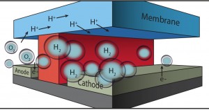  In this microfluidic test-bed, a chemically inert wall (red) separates anode from cathode and the channels in which O2 and H2 are generated by splitting water. Protons (H+) are conducted from one channel to the other via a membrane cap (Nafion®) that also prevents the intermixing of the O2 and H2 product streams.