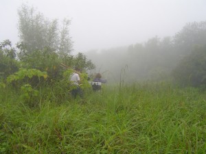 An expedition into the Luquillo Experimental Forest in Puerto Rico by JBEI and Berkeley Lab researchers led to the identification of a soil microbe that utilizes lignin as their sole source of carbon. 