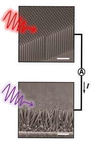 SEM images of Si (top) and TiO2 (bottom) nanowire electrodes shows light being absorbed and generating a photocurrent that can carry out the water-splitting reaction. 