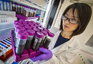 Ning Sun of the Joint BioEnergy Institute was lead author on a paper describing an enzyme-free ionic liquid pretreatment of biomass that can help boost the production of advanced biofuels. (Photo by Roy Kaltschmidt)