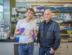 Thomas Ruegg (left) and Michael Thelen led a JBEI team that successfully introduced an ionic liquid resistance into a strain of E. coli for the production of advanced biofuels. (Photo by Roy Kaltschmidt)