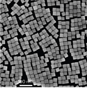 This scanning electron micrograph shows palladium nanocubes with a side length of approximately 32 nanometers. 